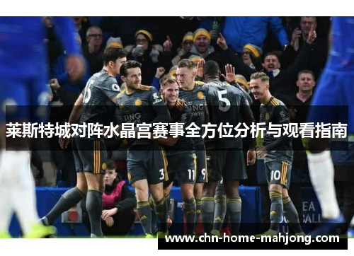 莱斯特城对阵水晶宫赛事全方位分析与观看指南 莱斯特城对阵水晶宫赛事全方位分析与观看指南